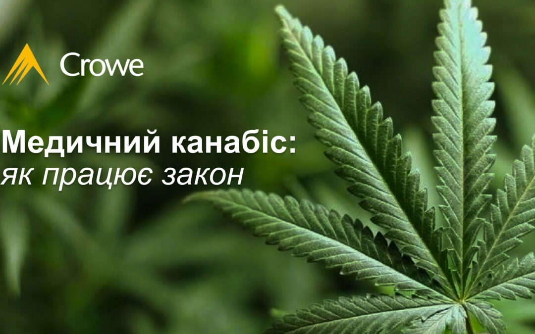 Медичний канабіс: як працює закон