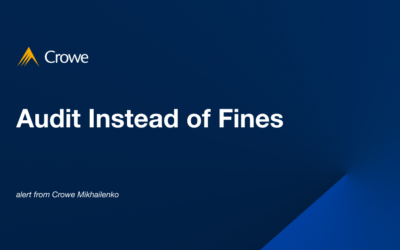 Audit Instead of Fines